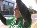 VA: AFSCME in Virginia