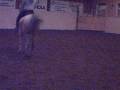 videos de Dressage / Vasaria 4-9