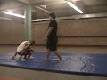 MMA Blog - July 20 - 2006 - 03 - Throws & Takedowns