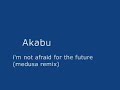 just house - akabu - i'm not afraid for the future (medusa remix)