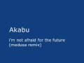 Just House - Akabu - I m Not Afraid For The Future