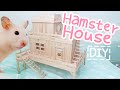 Popsicle Stick House ☆HAMSTER DIY☆