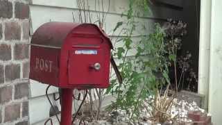 LUSSO Coffee Commentary