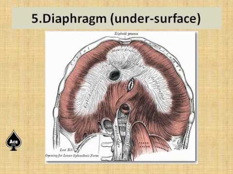 how to prepare for medical pg entrance india