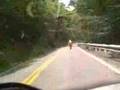 Route 144 Honda CBR 600RR CBR1100 RC51
