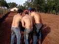 Montaria paraguaio