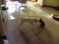Click to View