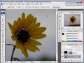 Save a Selection in Photoshop CS3