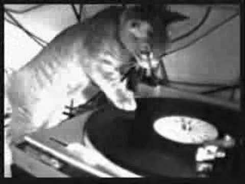 hardstyle hardcore minimix reborn