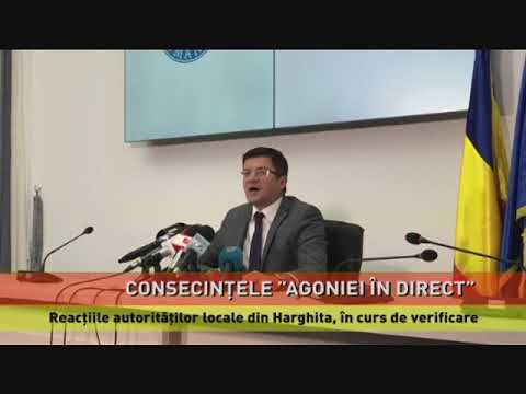 Măsuri în cazul ursului care a agonizat la marginea drumului din Harghita