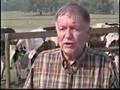 rbST in American Dairies - Bovine Growth Hormone