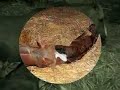 Naissance d\