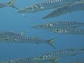 Highlights rund um Formentera Highlights rund um Formentera