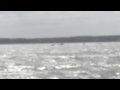 Poker Run 2009, Ückermünde,Powerboot, Offshore, Schnellbootarmada,