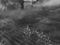 Guild wars horror story