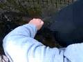 videos de Musky