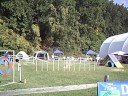 DOCNA Championships - Aster - Standard Finals