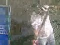 Bollywood scrubber