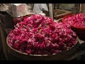 Our home, Iran Our home, Iran