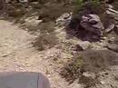 Offroad