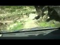 美人谷への道2010その2 美人谷