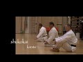 Shukokai Karate