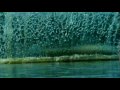 Nautique Commercial feat. FLIPTRACY Music