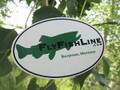 videos de Fishing Stickers, Cupcakes, and Tiki Cat Culture