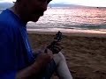 Maoi Waves