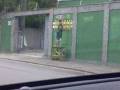 videos de PAPAGAIO PINTANDO O MURO, NÃO TEM PREÇO!
