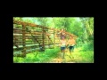 Discover the Flavors of Jo Daviess County HD