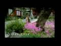  - MovieZen Video