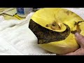 Surface Enhancements Part One - Preparation