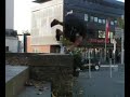 b.free freerunning