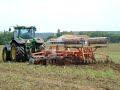 Gradagem,Cardiga,Farming,Farming in portugal,Peas
