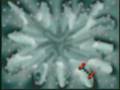 ATP synthesis 3 (pyruvic acid, krebs cycle, acetyl COA)