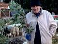 videos de pecoraro-bassa