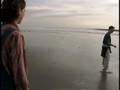 The Seagull