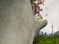 My T.O. ~ Bloom Boom! Dir: Jesse Ewles