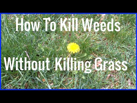 Weeds Control Without Poisons Pdf Converter