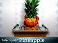 Selection '07 - Pineapple