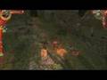 The Witcher Battle Gameplay