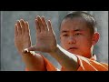 loto y espada  shaolin documental artes marciales kung fu