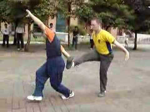 Bagua Quan 2-Person Form See video