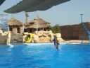 Dolphinella sharm el sheik