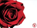 Blut, Herz, Ehre und Stolz Blut, Herz, Ehre und Stolz