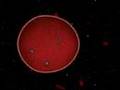 The Origin of Life - Abiogenesis - Interview with Jack Szostak