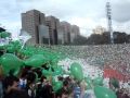 O canto do Verdão 
