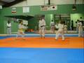 Fight Nite at the Dojo
