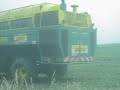 pea harvesting